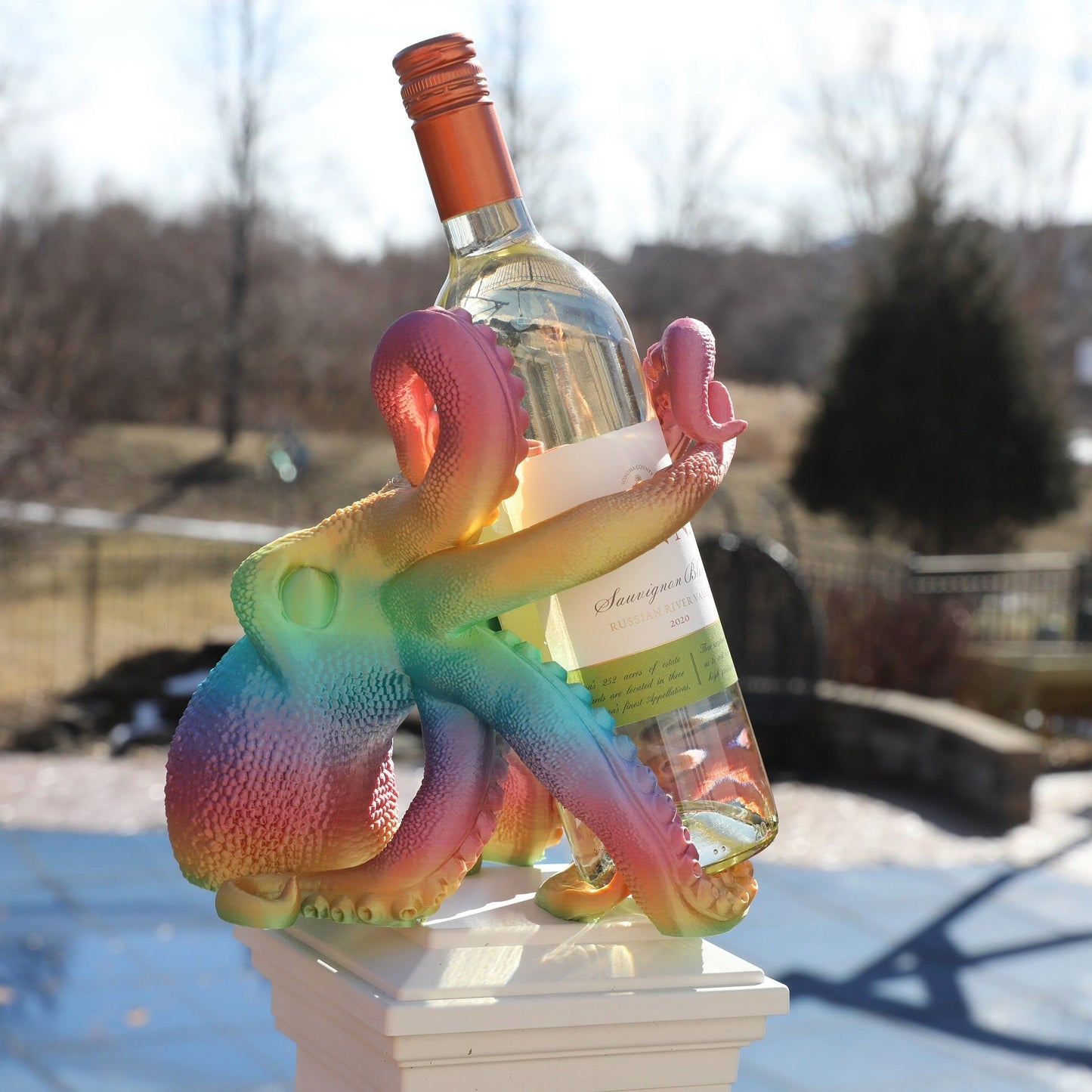 Colorful Rainbow Octopus Wine Holder
